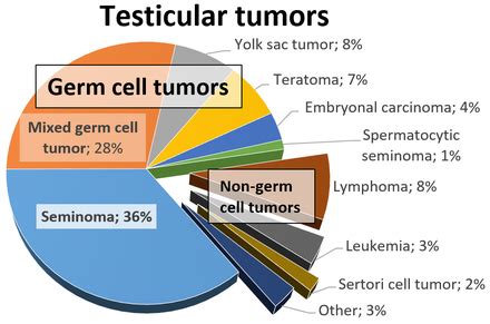 cancer testicular wikipedia|More.